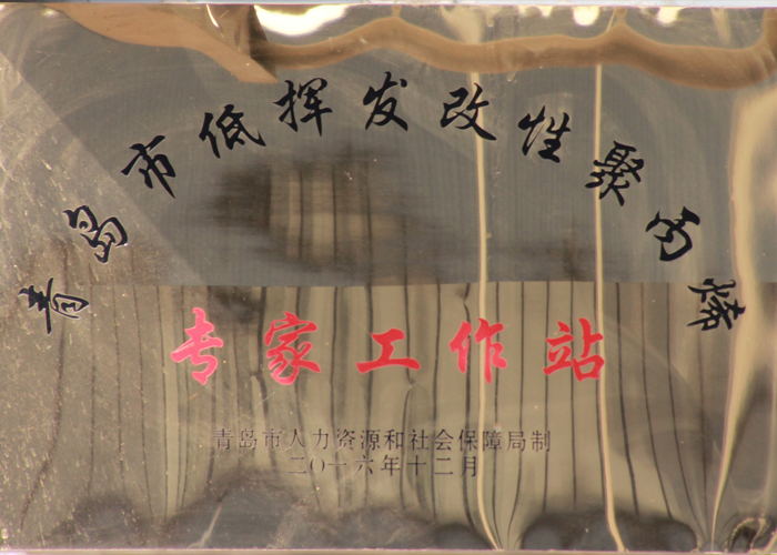 青島市低揮發改性聚丙烯專家工作站_看圖王