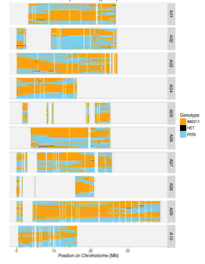 使用RNA-seq進(jìn)行基因組支架放置，校正裝配和遺傳圖譜創(chuàng)建
